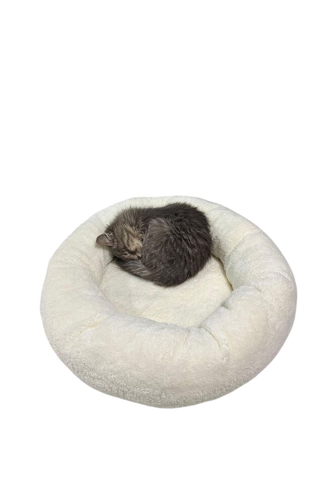 Peluş Kedi ve Köpek Yatağı Sıcak ve Yumuşacık Minder Evcil Hayvan - Beyaz